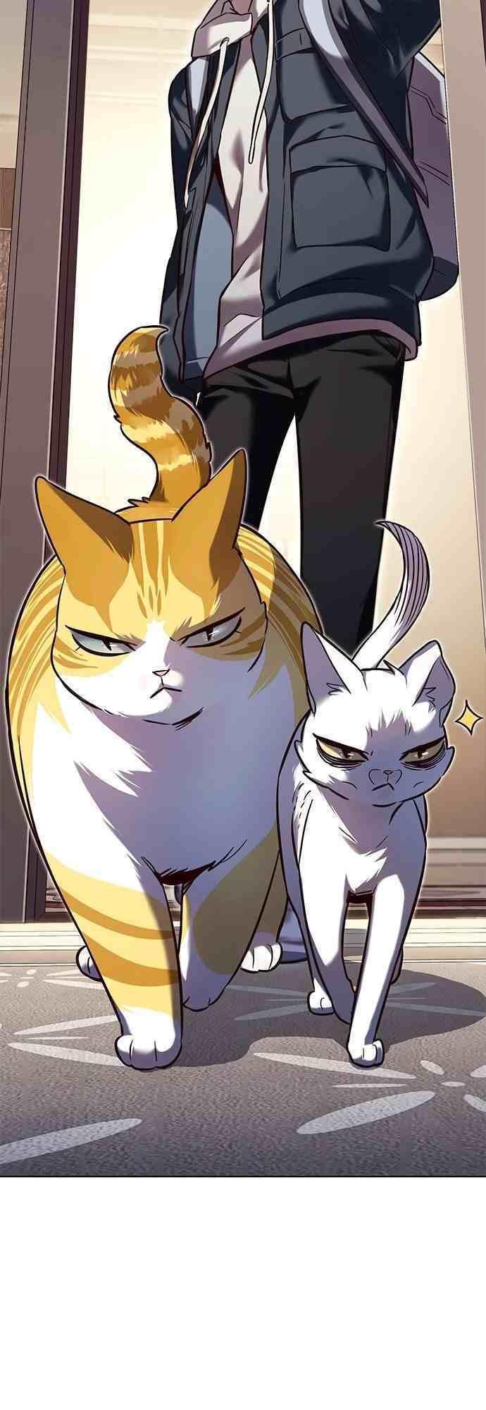 biến thân thành mèo chapter 231 55