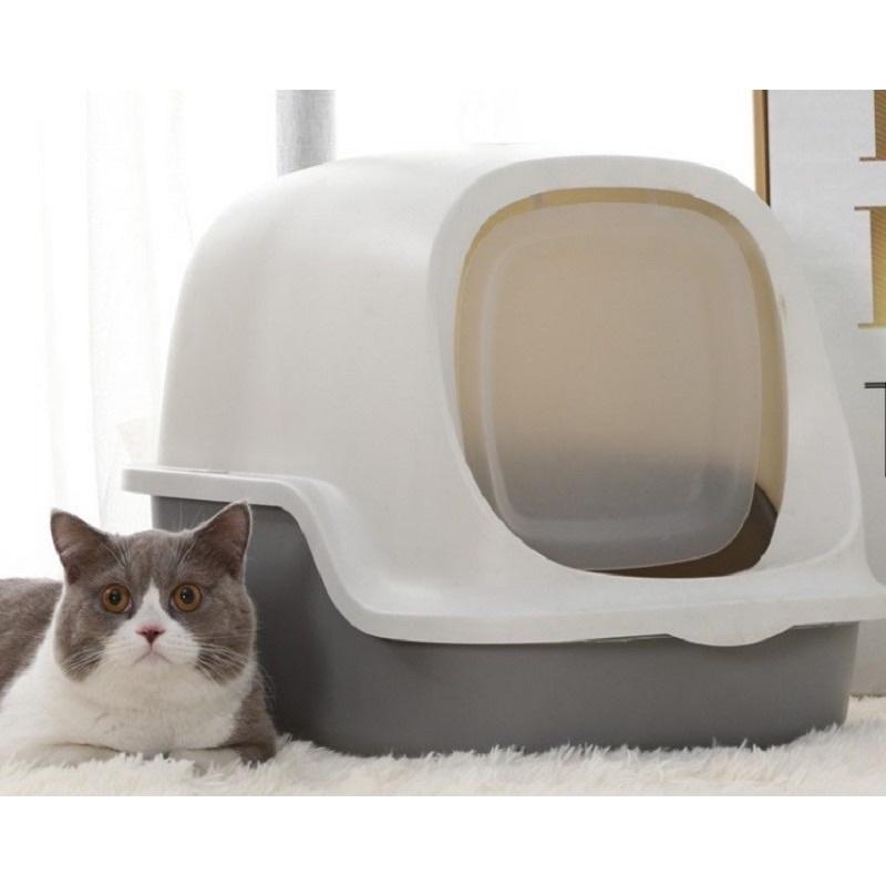 Nhà vệ sinh mèo nắp vỏ sò