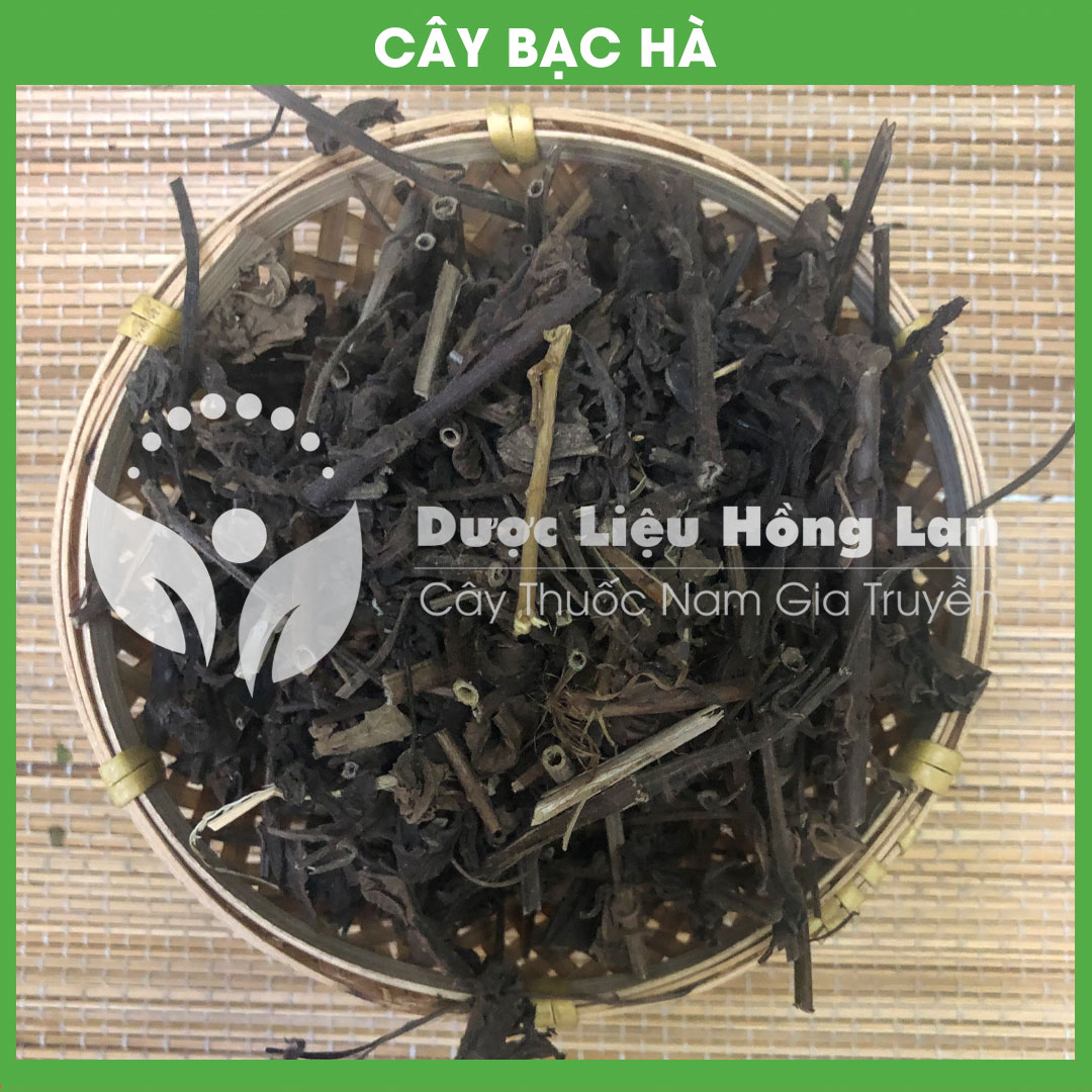 Cây Bạc Hà khô sạch đóng gói 500gram