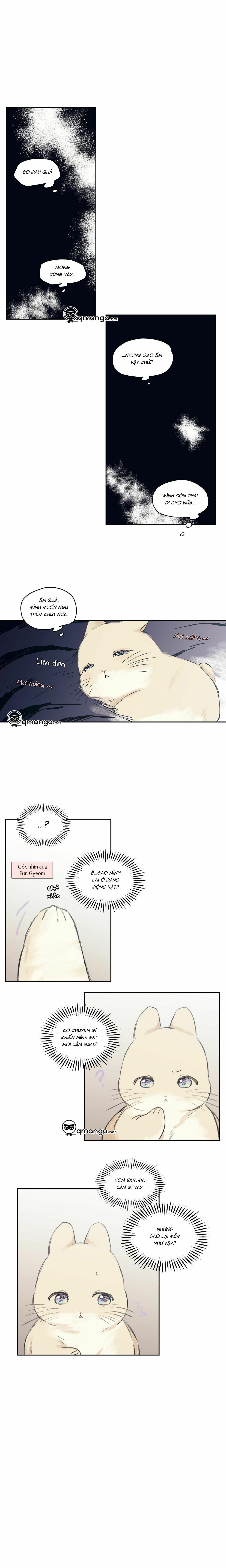 không chốn yêu đương chapter 64.7 19