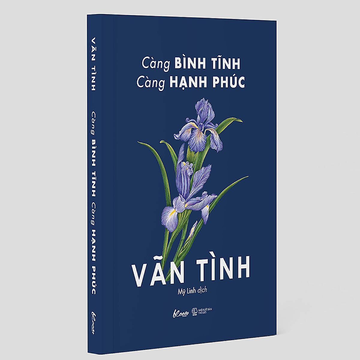 Càng Bình Tĩnh Càng Hạnh Phúc - Vãn Tình