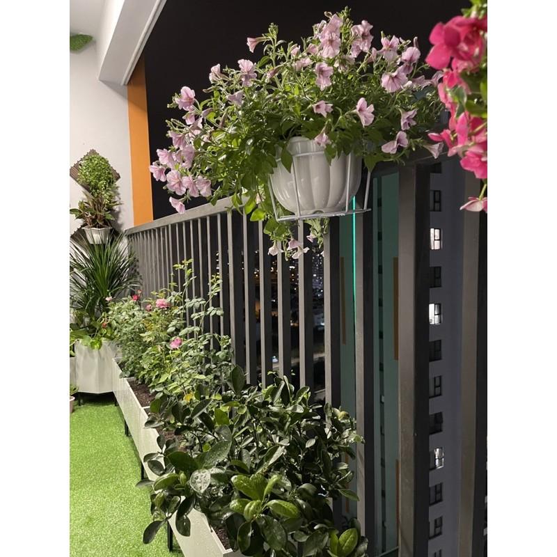 Chậu trồng cây nhựa composite ban công sân vườn