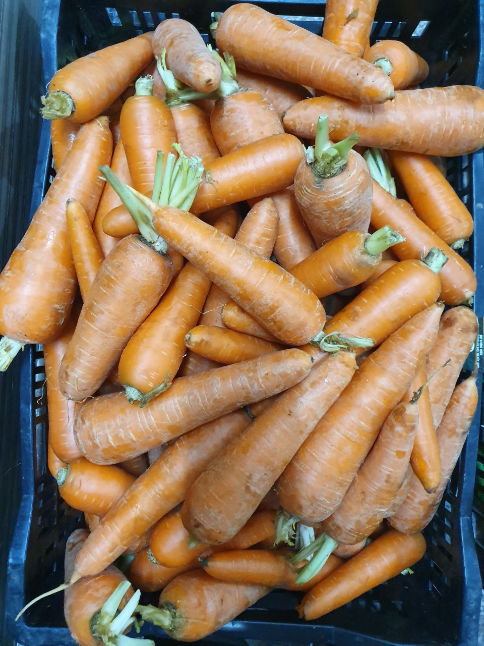 Cà Rốt Đà Lạt VietGAP 1kg
