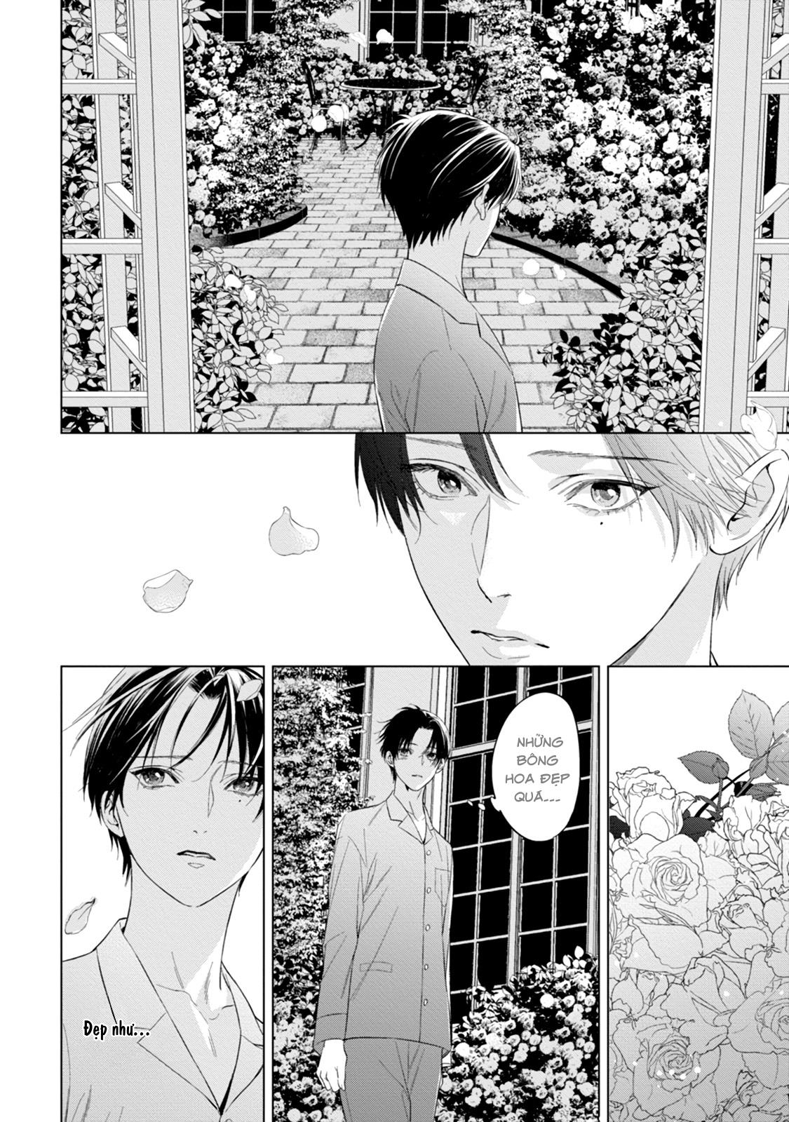 cô dâu của alpha chapter 9 16