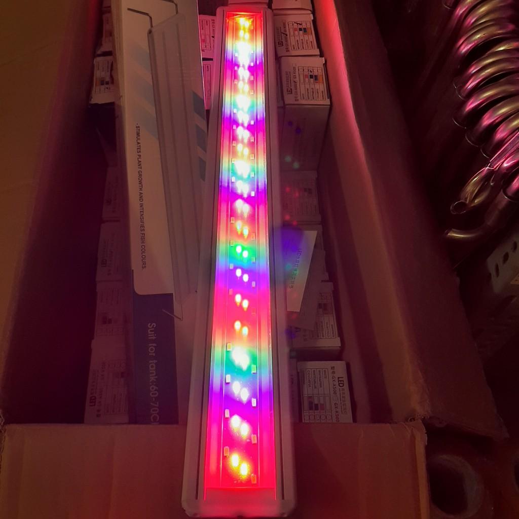 Đèn LED 4 DÃY - 3 CHẾ ĐỘ MÀU | Đèn Led Thuỷ Sinh Màu WRGB Siêu Sáng - Giá Rẻ