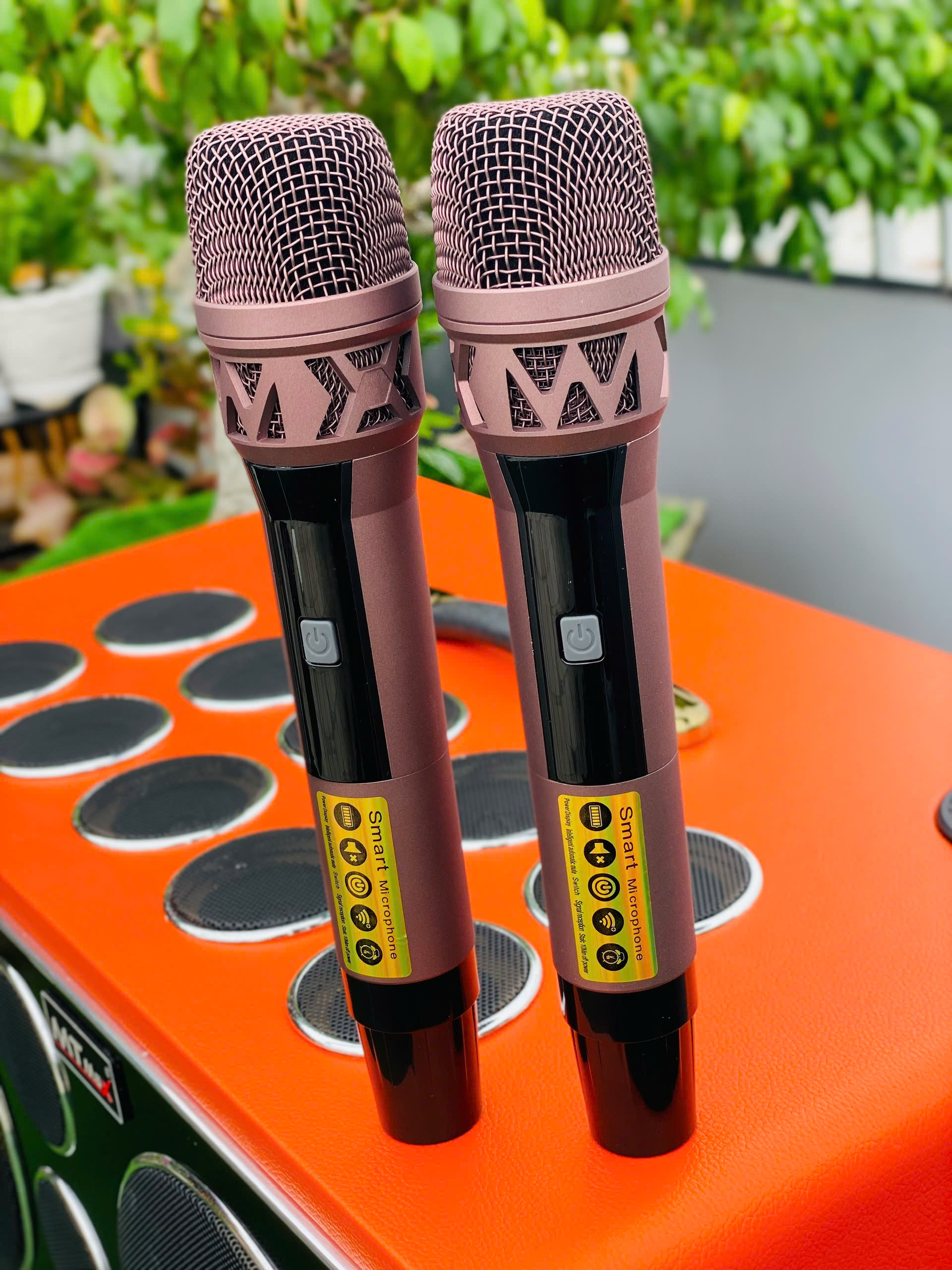 Loa MTMAX K10 Karaoke Xách Tay  - 25 Đường tiếng Công suất 500 – 750W Hệ thống loa Bass đôi 25cm , Kèm 2 micro UHF hàng nhập khẩu