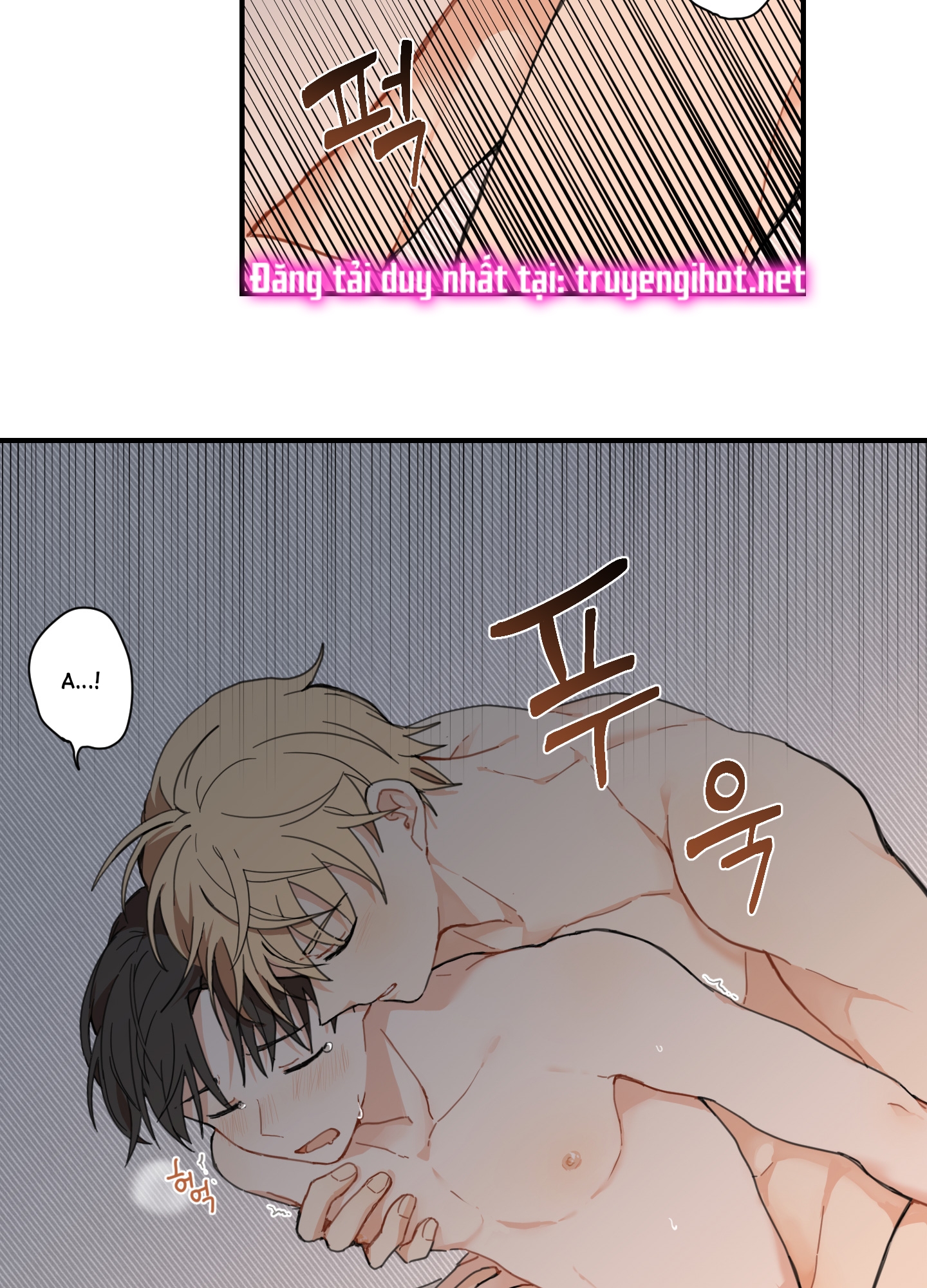 [18+] con đường hoa chuông vàng - liên kiều rơi chốn này chapter 1.1 4