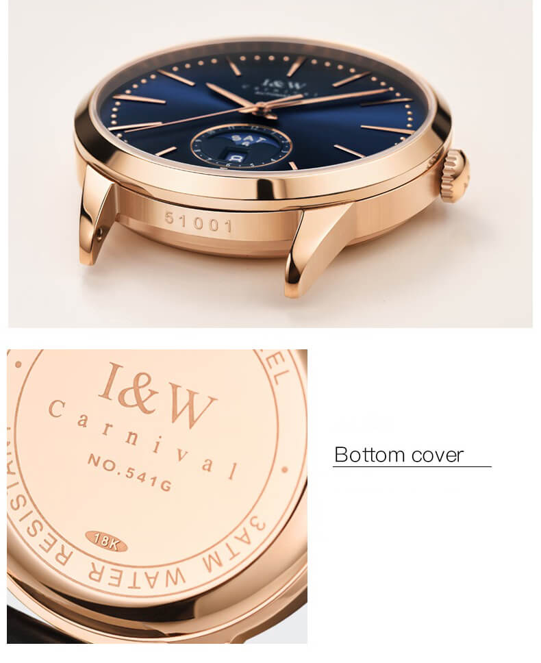 Đồng hồ nam chính hãng IW CARNIVAL IW541G-2 Kính sapphire ,chống xước,Chống nước ,Bảo hành 24 tháng,Máy cơ (Automatic), MẠ vàng 18k, Dây da cao cấp
