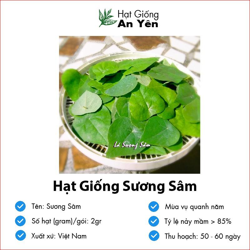 Hạt giống Sương Sâm, nhanh thu hoạch, dễ trồng, nảy mầm và năng suất cao