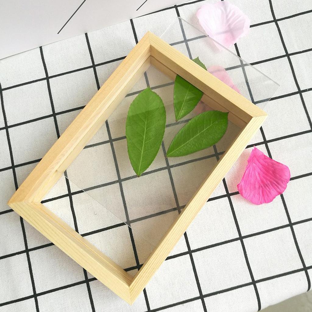 Creative double-sided glass specimen transparent wooden frame