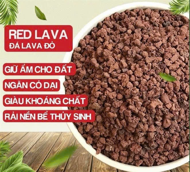 (1kg) Đá Nham Thạch (Lava Đen hoặc Lava Đỏ), Dùng Rải Mặt Chậu Sen Đá, Chậu Cây Cảnh, Trải Nền Nuôi Bò Sát, Làm Nền Và Lọc Hồ Cá Thủy Sinh