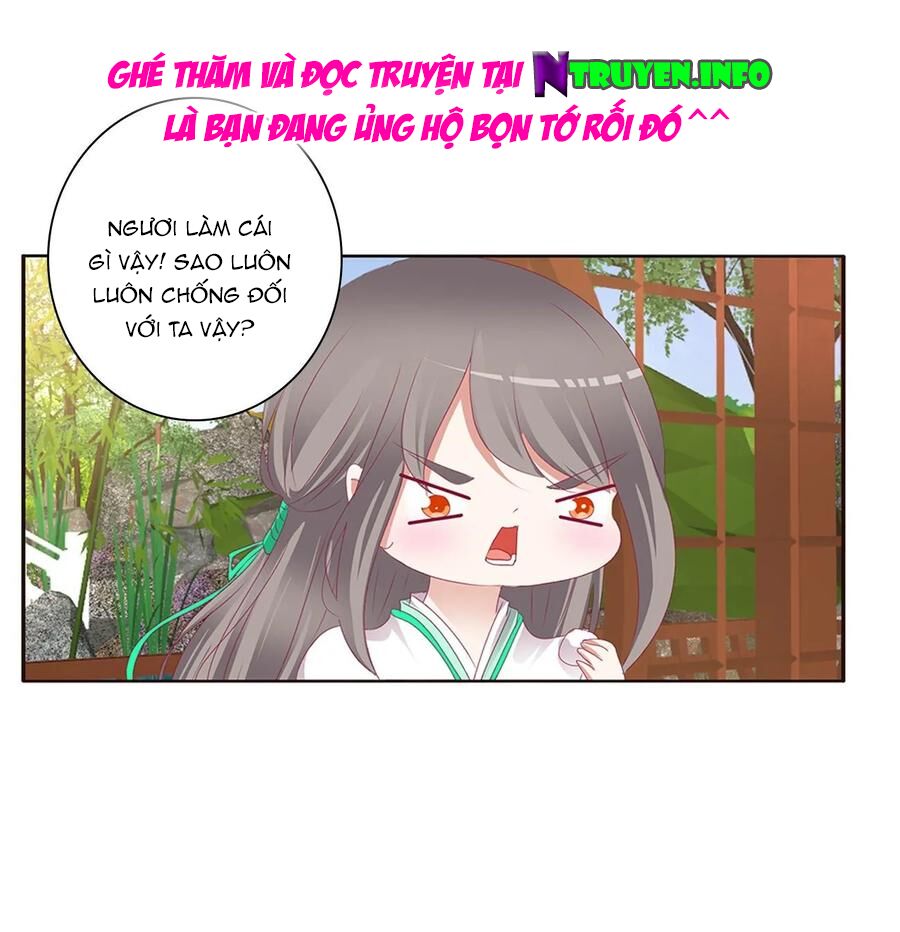 thông linh phi chapter 584 14