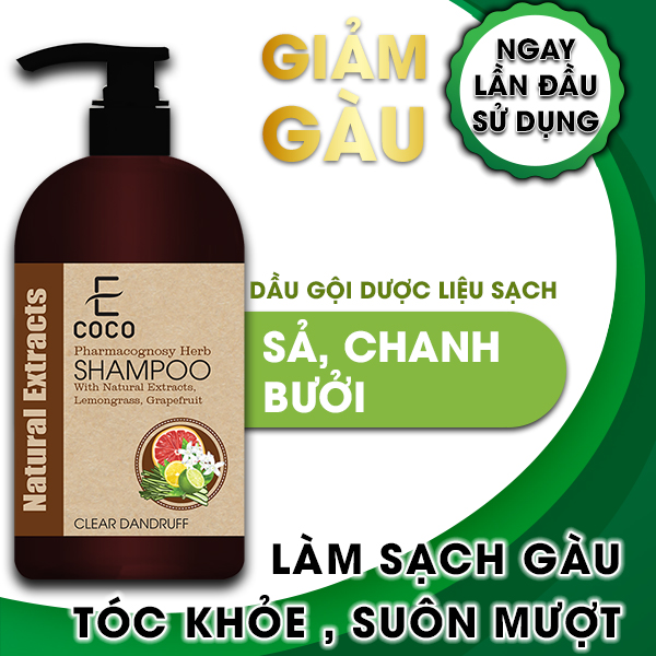 Dầu gội dược liệu hỗ trợ trị gàu chiết xuất sả chanh, bưởi Ecoco 180g