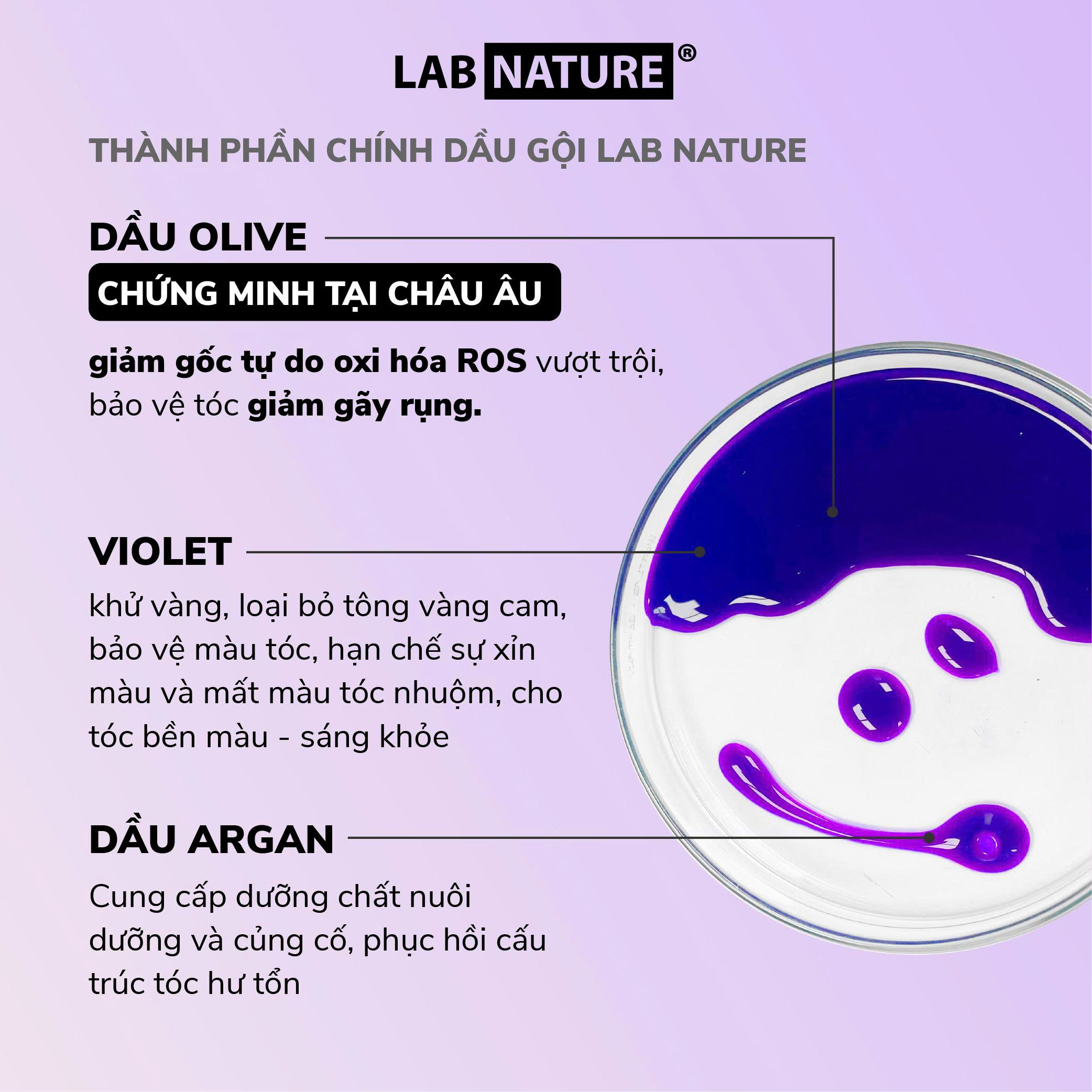 Dầu gội tím LAB NATURE Không Silicone, giúp Khử Vàng và Giữ Màu Nhuộm - 250ml