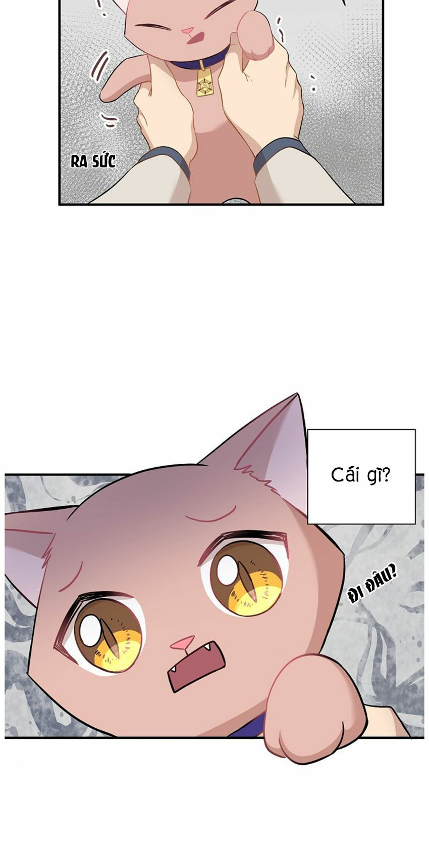 cuộc sống kỳ thú chapter 21 24