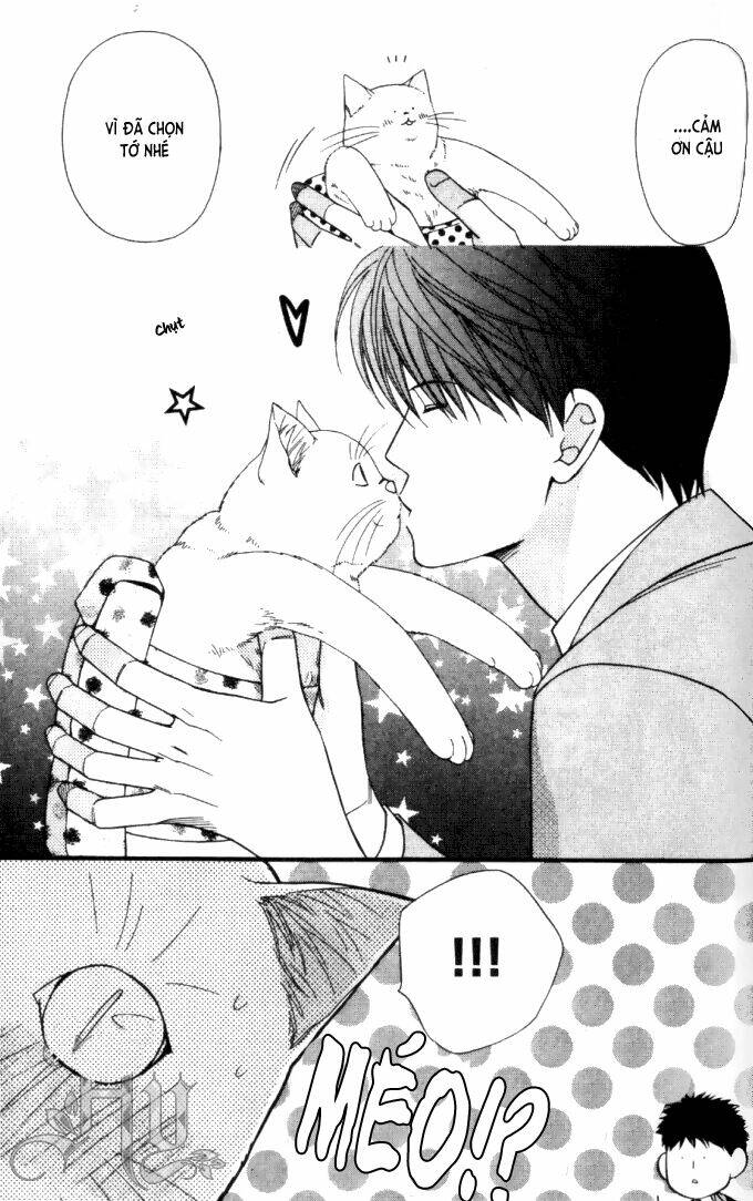 neko neko honey chapter 6 33