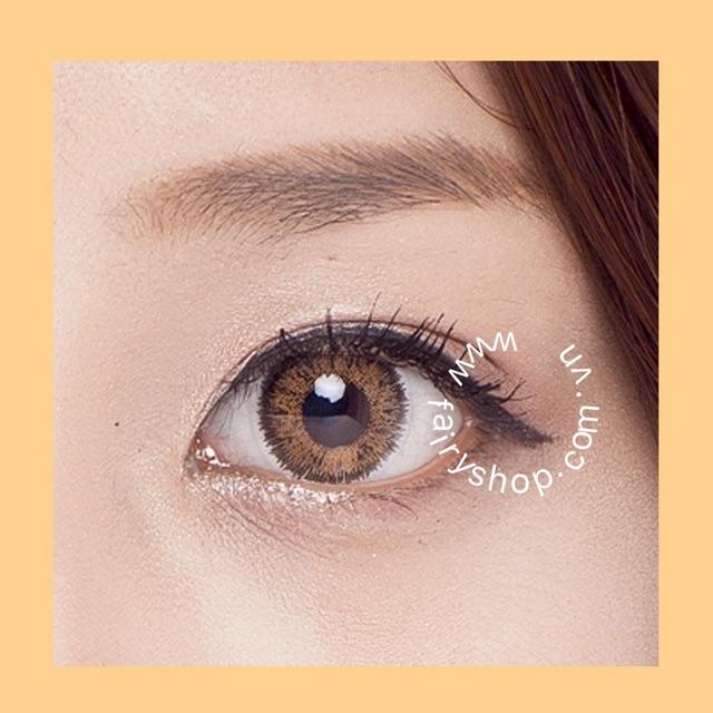 Áp tròng Sexy Brown 14.5 - Kính Áp Tròng FAIRY SHOP CONTACT LENS độ 0 đến 6