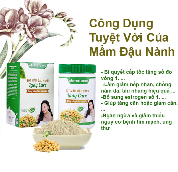 Mầm đậu nành nguyên xơ Tuệ Minh có đủ giấy ATVSTP hộp 0.5 kg