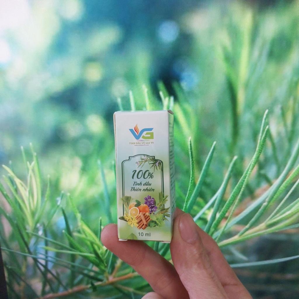 Tinh dầu tràm trà nguyên chất 10ml 20ml 50ml