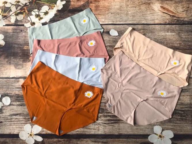 Combo 5 Quần Su Hoa Cúc Mềm Mịn Mát