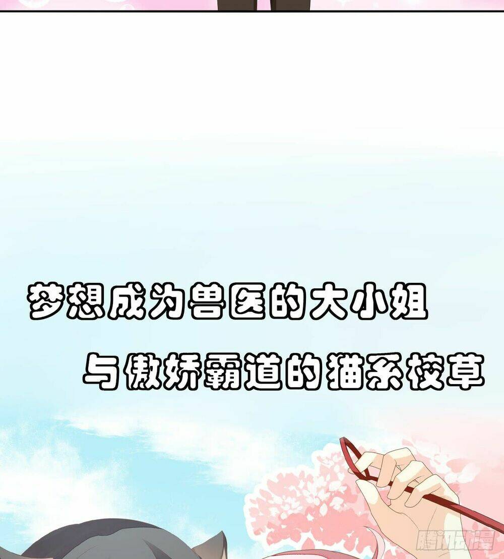 miêu hệ giáo thảo độc sủng ái chapter 1 35