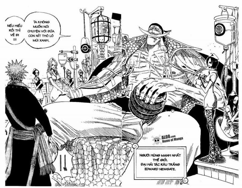 đảo hải tặc - one piece chapter 234 12
