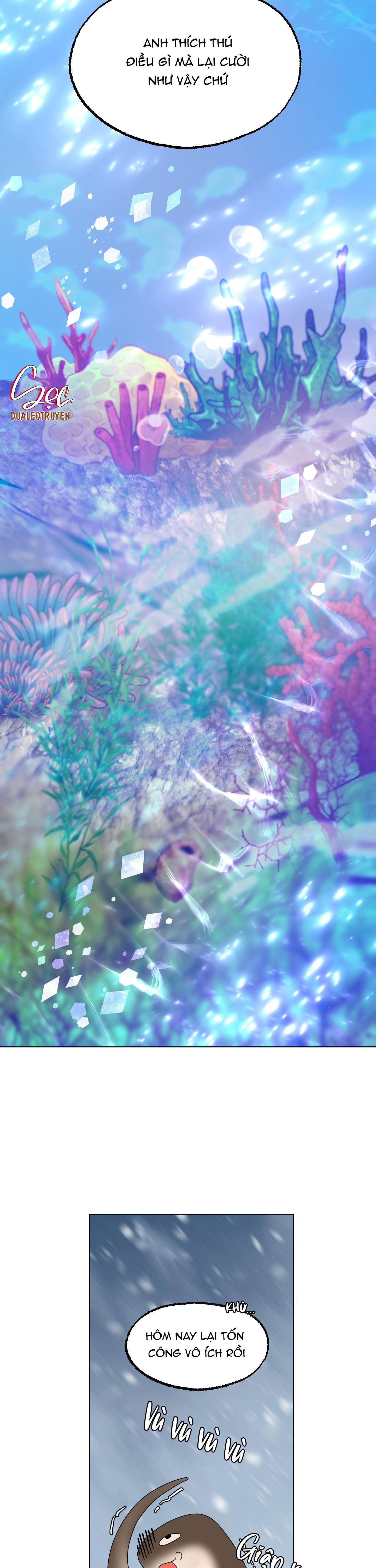 cá mập và cô dâu thỏ chapter 9 24