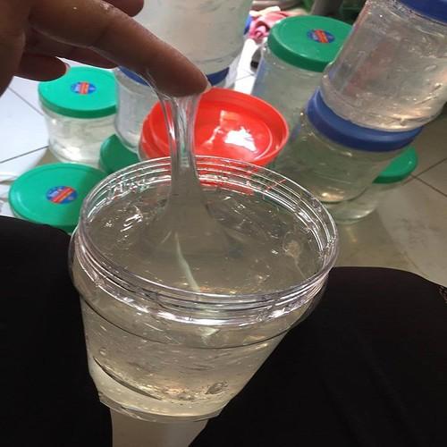 Keo bẫy chim cò, vạc và bẫy cả chuột.