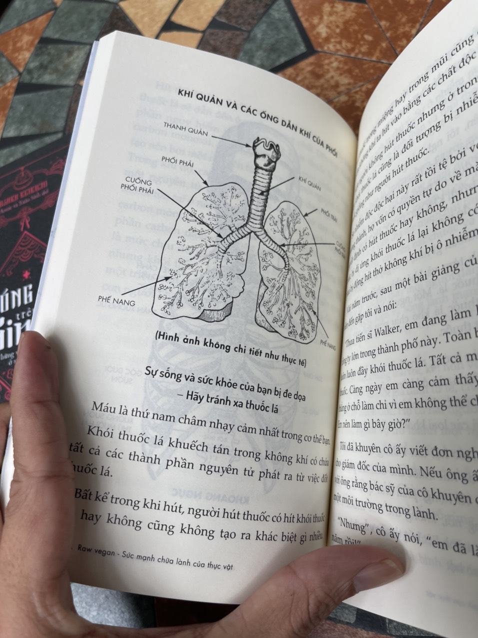 RAW VEGAN – Sức mạnh chữa lành của thực vật – Norman W. Walker – Lê Nhung dịch – SKY Books – AZ Vietnam – NXB Thế Giới