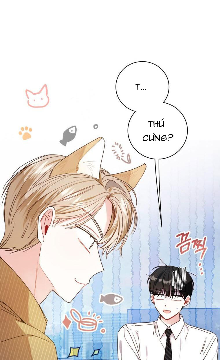 chỉ thị đặc biệt của sếp chapter 40.1 24