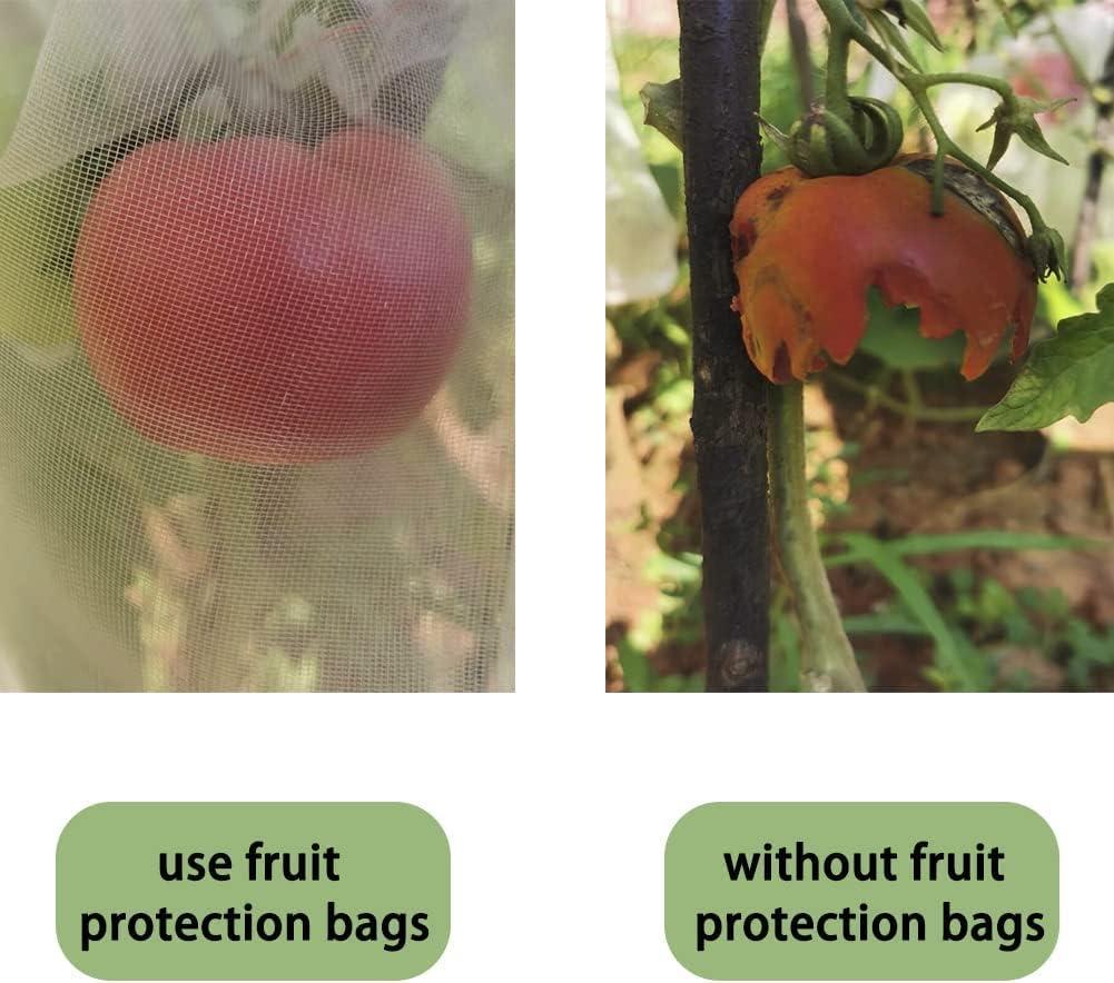 100 miếng cây trồng cây trái cây bảo vệ túi túi túi côn trùng Muỗi Muỗi chạy vườn Birds Vườn Bảo vệ Túi 10 cm x 15 cm
