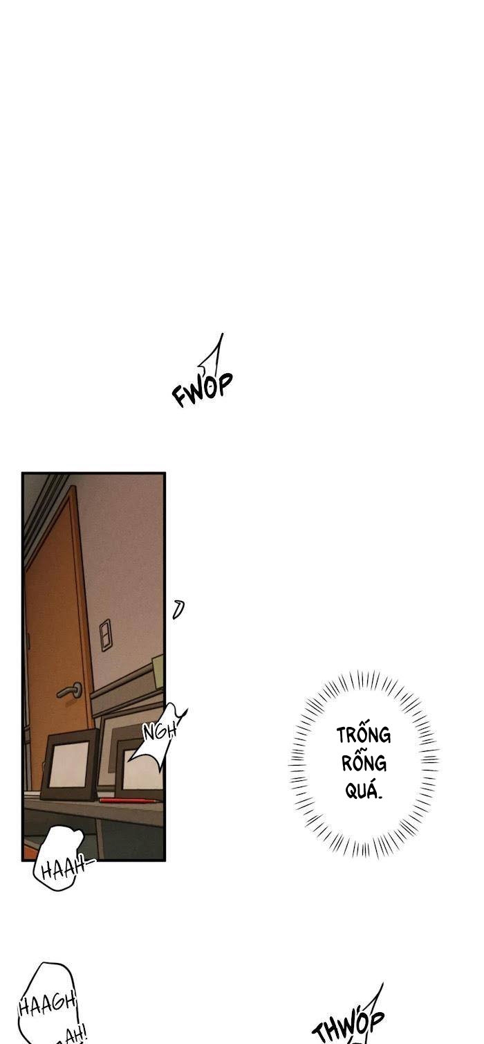 bẫy kép chapter 21.2 15