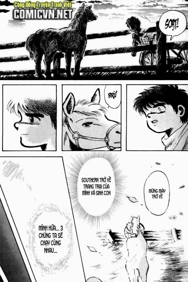 kaze no sylphid - phong mã silphid chapter 1 39