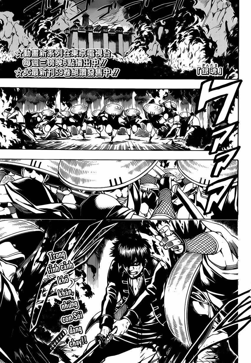 gintama - linh hồn bạc chapter 543 1