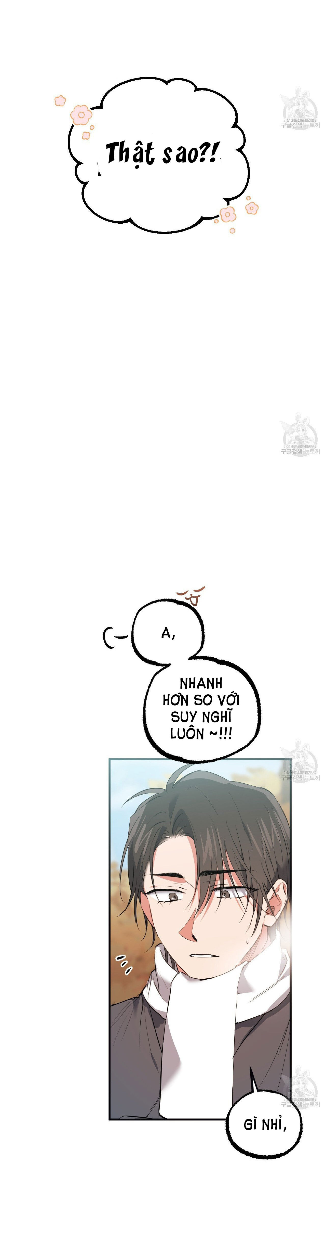 những chú thỏ của hapypy chapter 64.2 47