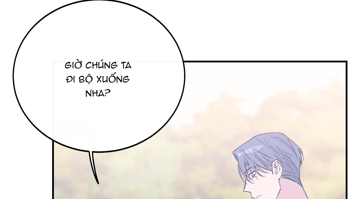 lãng mạn giả dối chapter 16 85