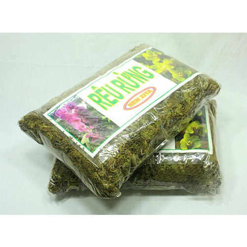 GÓI 200 GRAM - GIÁ THỂ RÊU RỪNG TRỒNG PHONG LAN - CHẤT TRỒNG CHO LAN