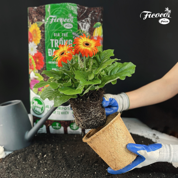GIÁ THỂ TRỒNG ĐA DỤNG FICOCO - 2L
