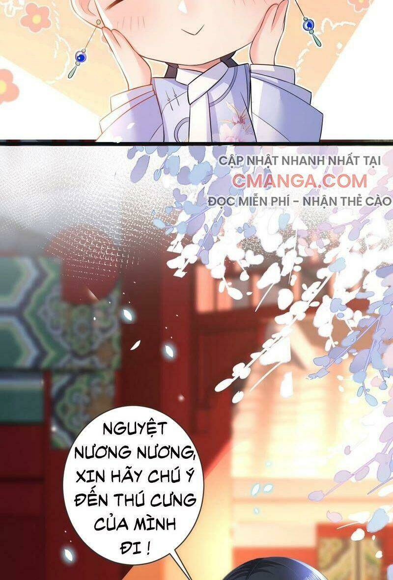 quận chúa vững vàng, thiết lập nhân vật không thể vỡ chapter 55 37