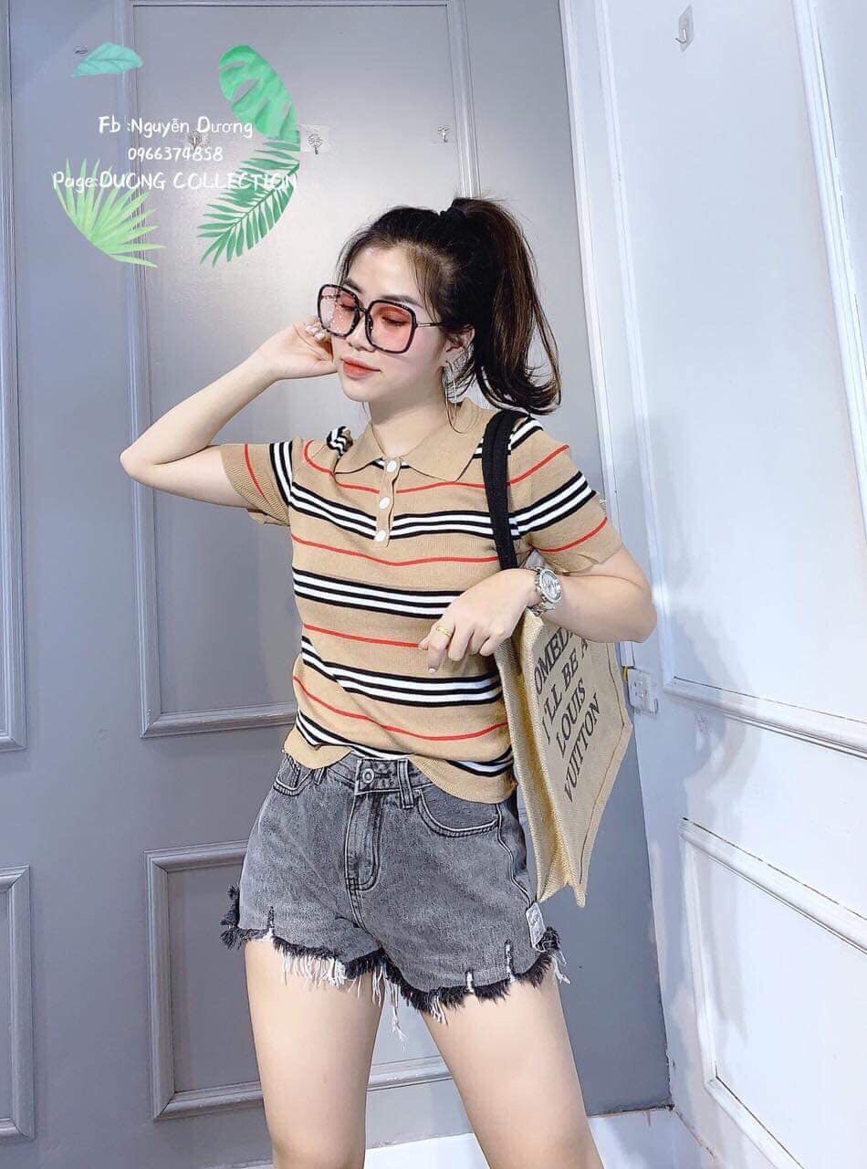 Áo thun kẻ có cổ