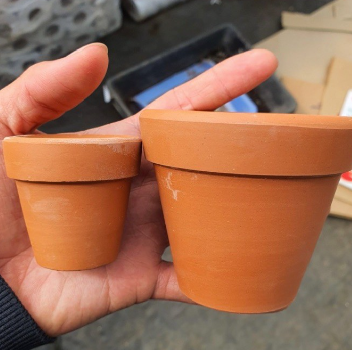 CHẬU ĐẤT NUNG BÁT TRÀNG TRỒNG SEN ĐÁ, XƯƠNG RỒNG