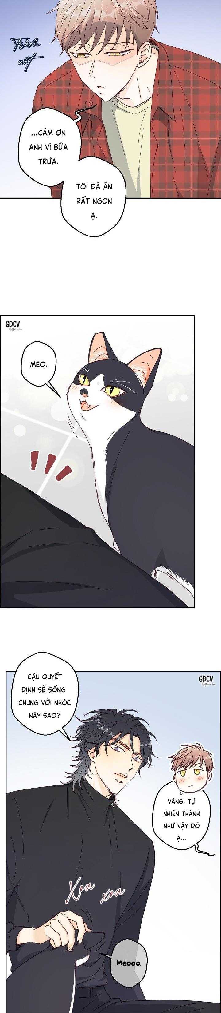 bạn trai vô song của tôi chapter 15 2