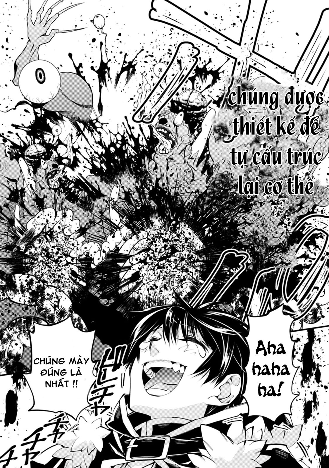 sự trỗi dậy của anh hùng hắc ám chapter 15 11