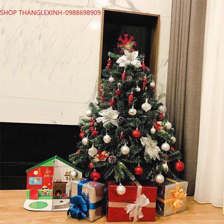 Cây Thông Dày Lá 150 cm