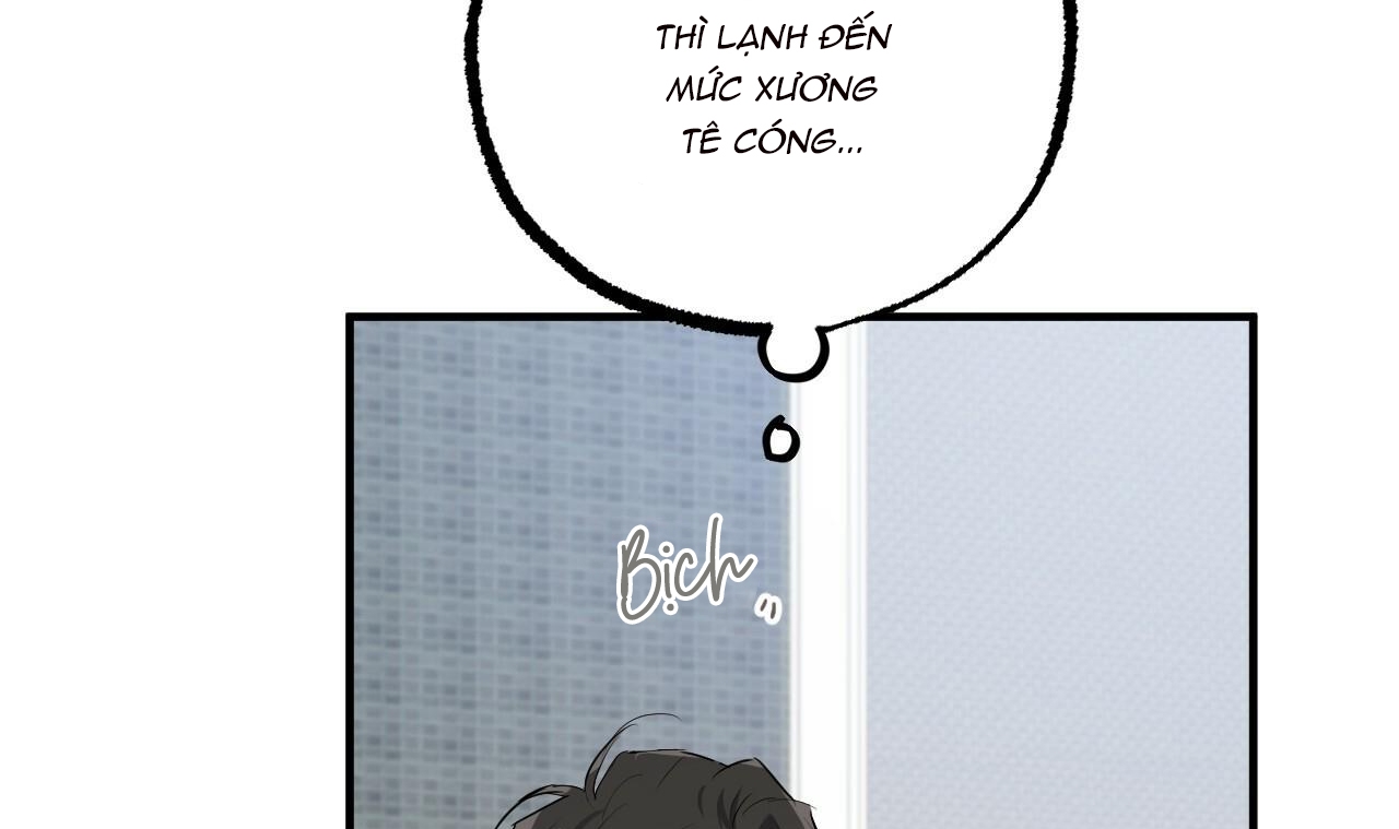 đàn thỏ của habibi chapter 39 53