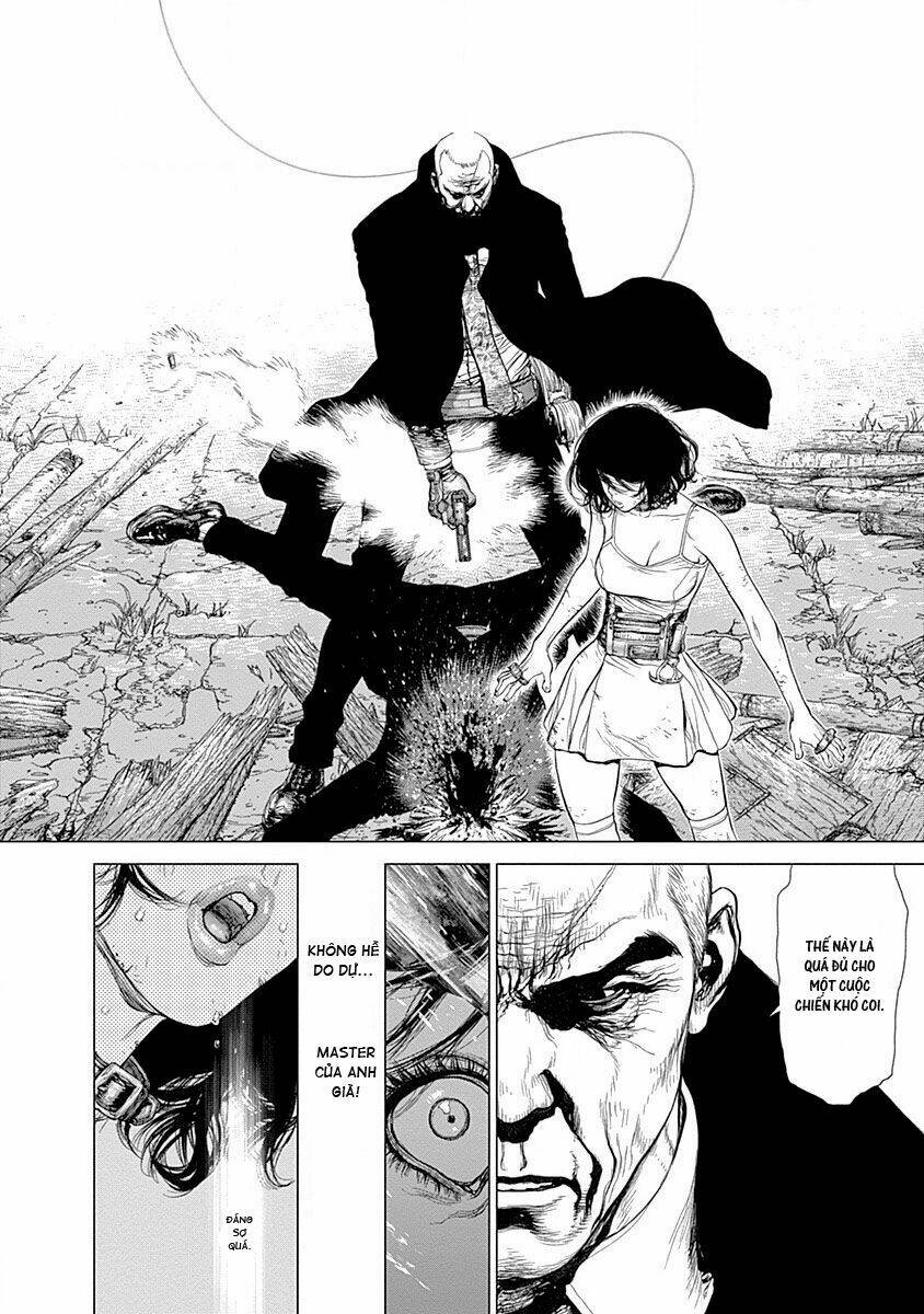 wallman chapter 22 23