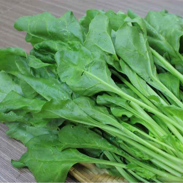Hạt giống Cải bó xôi