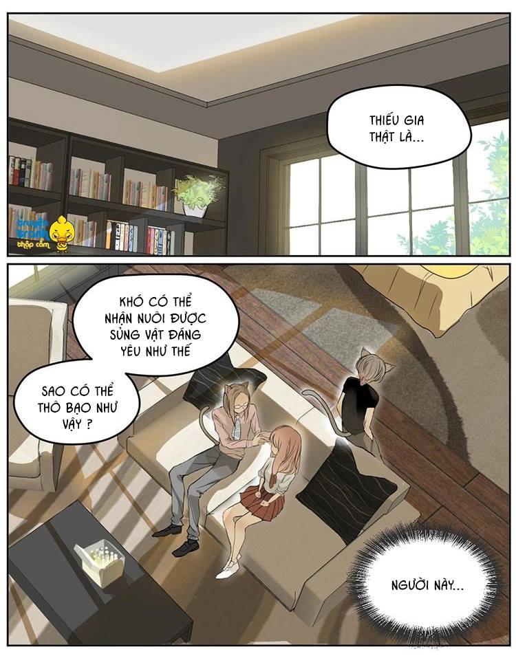cứu mạng ! loài mèo thống trị thế giới rồi ! chapter 4 9