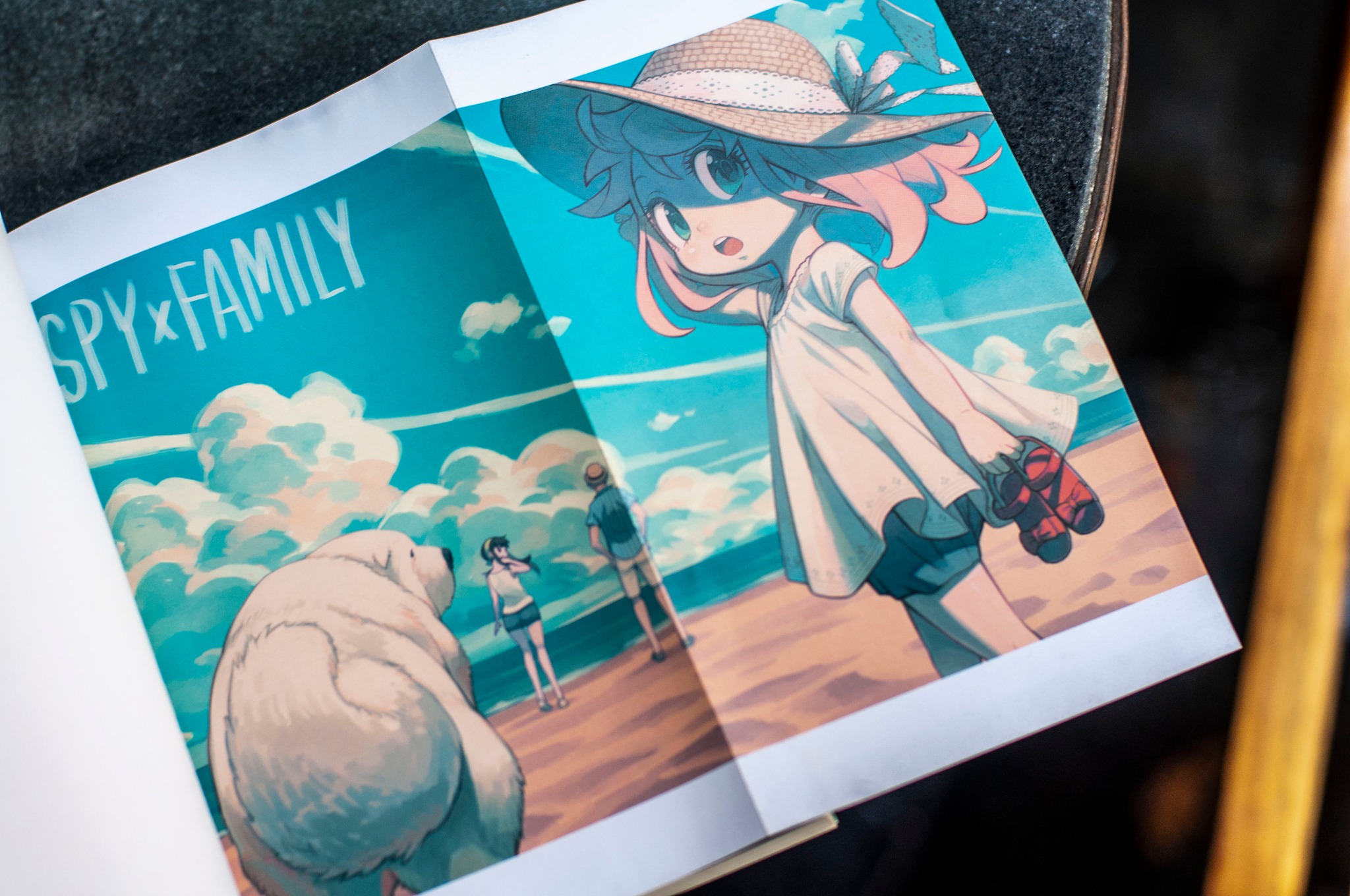 Spy X Family Tiểu Thuyết: Bức Chân Dung Gia Đình