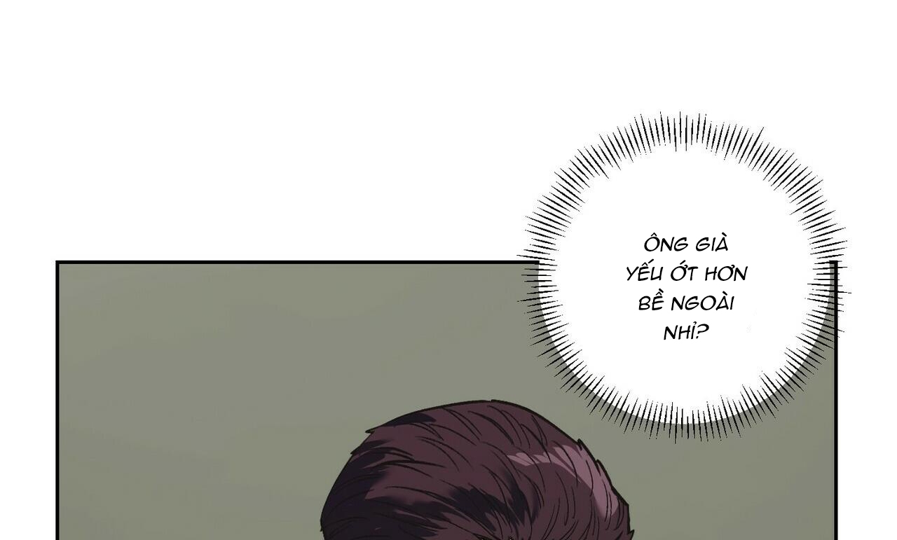 chàng dâu nhà họ kang chapter 24 93